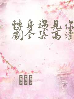 转身遇见你电视剧全集高清在线观看