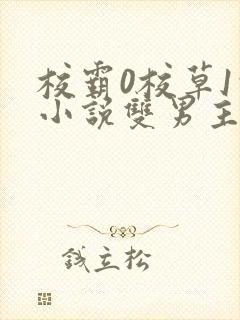 校霸0校草1的小说双男主