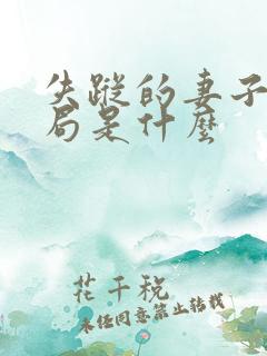 失踪的妻子大结局是什么