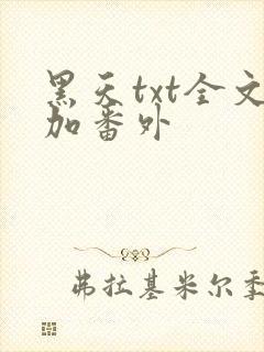 黑天txt全文加番外