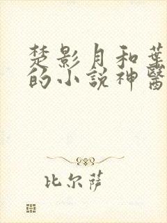 楚影月和叶立成的小说神医弃女免费阅读