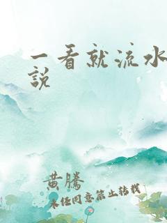 一看就流水的小说