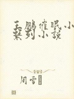 王鹏催眠小说系系列小说