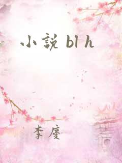 小说 bl h