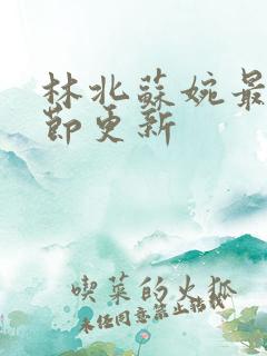 林北苏婉最新章节更新