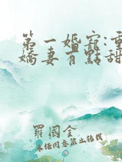 第一婚宠:重生娇妻有点甜 蓝九