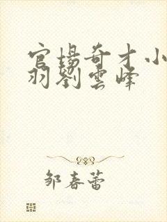 官场奇才小说陆羽刘云峰