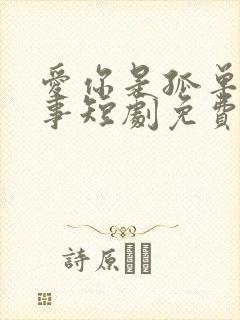 爱你是孤单的心事短剧免费看
