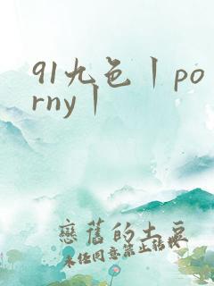 91九色丨porny丨