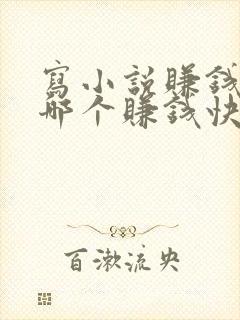 写小说赚钱软件哪个赚钱快