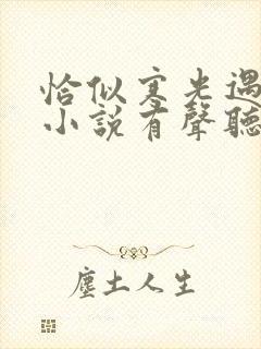 恰似寒光遇骄阳小说有声听书免费