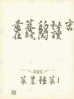 黄蓉的秘密小说在线阅读