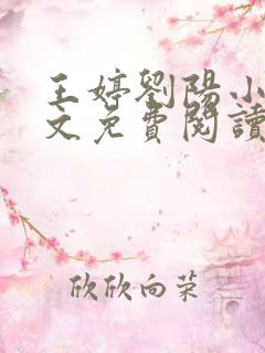 王婷刘阳小说全文免费阅读
