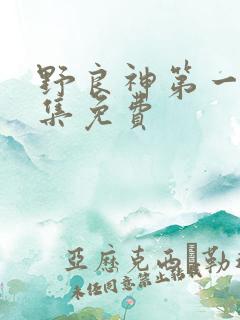 野良神第一季全集免费