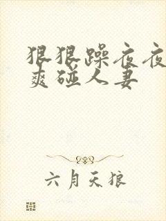 狠狠躁夜夜躁人爽碰人妻