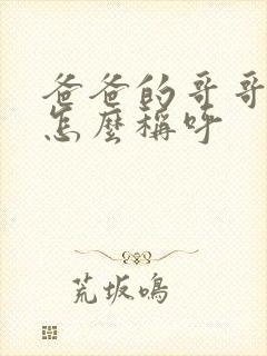 爸爸的哥哥姐姐怎么称呼