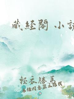 藏经阁 小说网