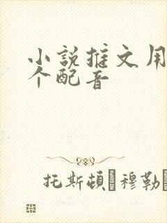 小说推文用的哪个配音