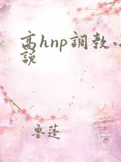 高hnp调教小说