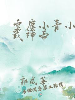 云尘小青小说天武神帝