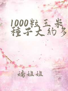 1000粒玉米种子大约多少斤