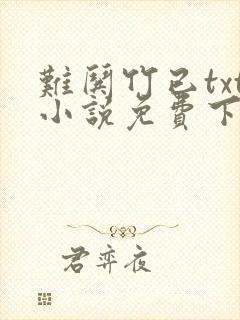 难哄竹已txt小说免费下载