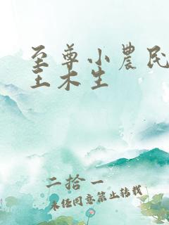 至尊小农民小说王木生