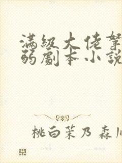满级大佬拿了病弱剧本小说免费