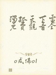 独孤天下电视剧免费观看全集高清
