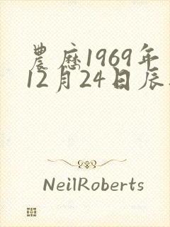 农历1969年12月24日辰时八字