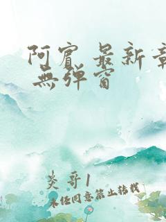 阿宾 最新章节 无弹窗