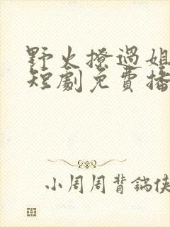 野火撩过姐姐心短剧免费播放