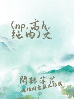 (np,高h,纯肉)文