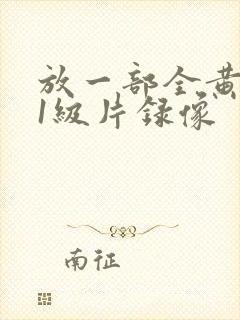 放一部全黄色的1级片录像