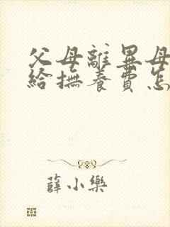 父母离异母亲不给抚养费怎么起诉