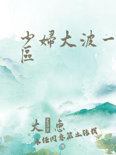 少妇大波一区二区