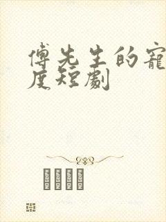 傅先生的宠妻无度短剧