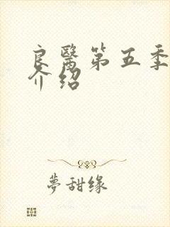良医第五季分集介绍