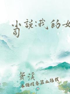 小说:我的女上司