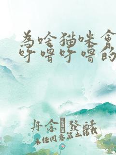 为啥猫咪会发出呼噜呼噜的声音