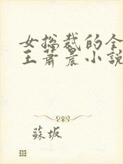 女总裁的全能兵王萧晨小说在线阅读