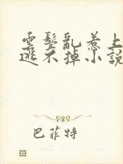 云鬓乱惹上权臣逃不掉小说全文免费阅读