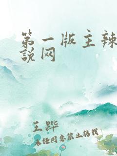 第一版主辣文小说网