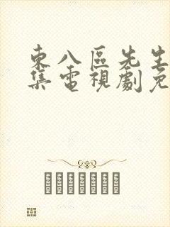 东八区先生40集电视剧免费看全集