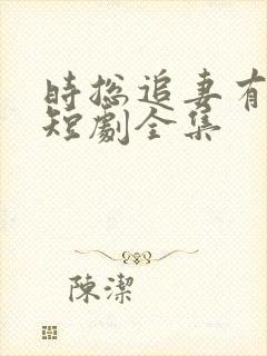 时总追妻有点甜短剧全集 时总追妻有点甜短剧全集