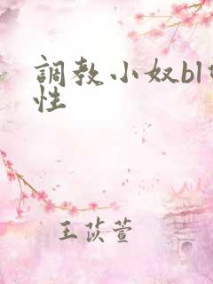 调教小奴bl双性