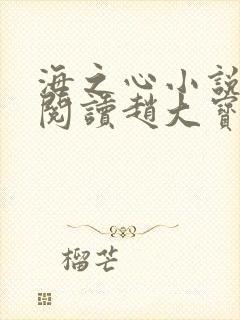 海之心小说免费阅读赵大宝