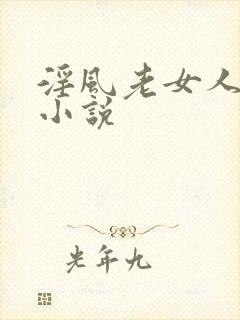 淫风老女人全部小说