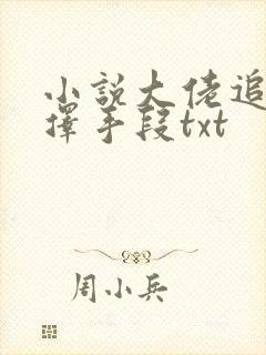 小说大佬追妻不择手段txt