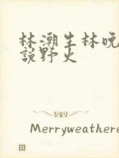 林潮生林晚晚小说野火